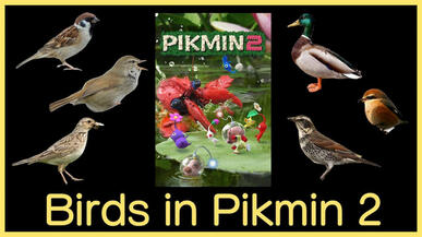 Birds in Pikmin 2