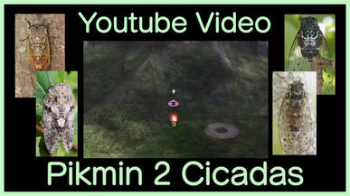 Cicadas in Pikmin 2